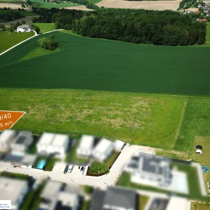 Baugrundstücke in Katsdorf / Ruhstetten – sonnige Lage, ideal für 1–3 Wohneinheiten je Parzelle - Bild 2