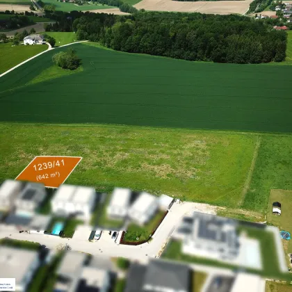 Baugrundstücke in Katsdorf / Ruhstetten – sonnige Lage, ideal für 1–3 Wohneinheiten je Parzelle - Bild 2