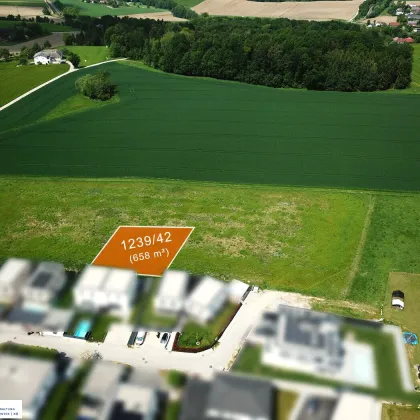 RESERVIERT - Bild 2