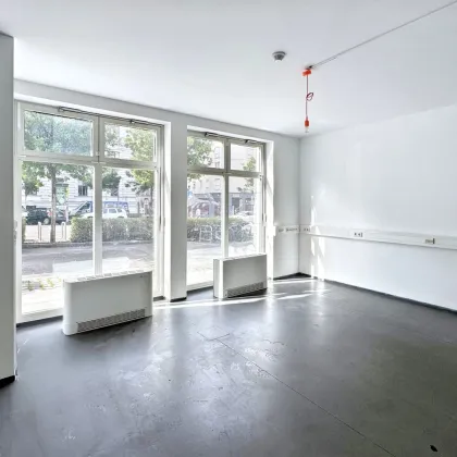 Moderne Geschäftsfläche - 320 m² - eigener Eingangsbereich - Nähe Schottentor - Bild 3