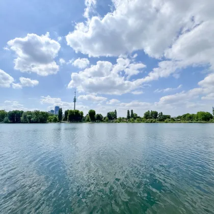 3-Zimmer-Wohnung mit Balkon & Blick auf die Alte Donau – Top-Zustand, klimatisiert, zentral begehbar! - Bild 3