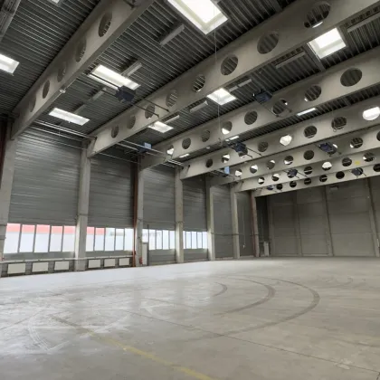 ~1.500 m² Lagerhalle (9 Meter hoch, keine Mittelstützen) + ~ 65m² Büro in 1230 Wien - Eitnergasse 17 - Bild 3