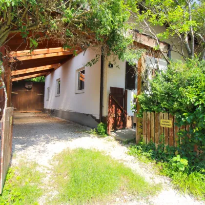 Zentral, Altbaumbestand und Attersee in Gehweite - Einfamilienhaus in Schörfling - Bild 2