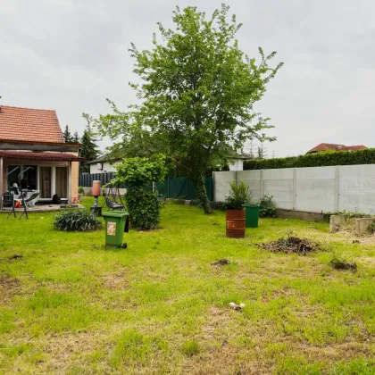 Großes Grundstück mit Altbestand in Strasshof an der Nordbahn – 1082 m² Bauland in offener Bauweise - Bild 3