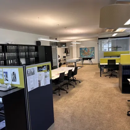 Attraktives, modernes Büro mit 445 m² in 1220 Wien – nur wenige Schritte von der U1-Station Kagraner Platz entfernt - Provisionsfrei - Bild 3