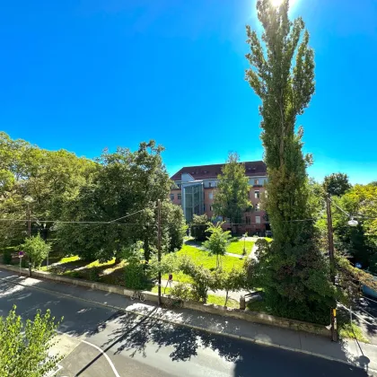 Charmante wunderschöne Altbauwohnung im Herzen von Graz - Bild 2
