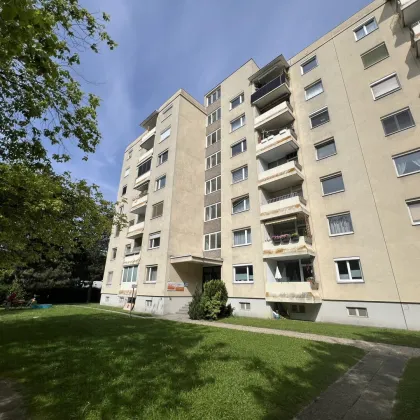 Sanierungsfall mit Potential - Bild 2