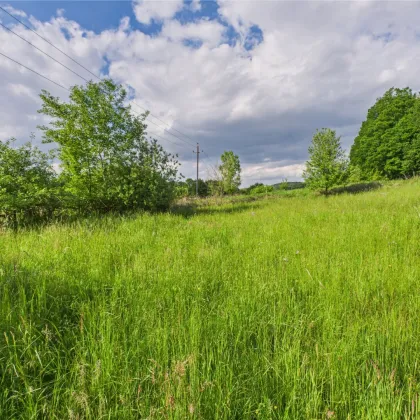 Oase der Ruhe mit Ausbaumöglichkeit – Grundstück für ein Leben im Einklang mit der Natur - Bild 3