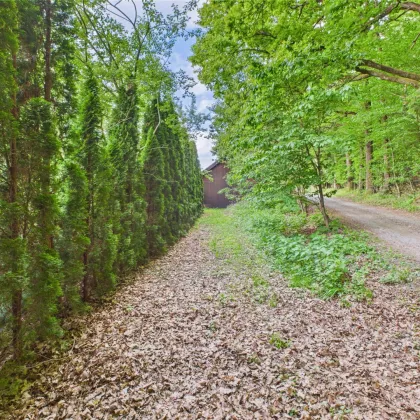 Oase der Ruhe mit Ausbaumöglichkeit – Grundstück für ein Leben im Einklang mit der Natur - Bild 2