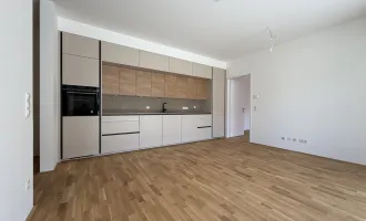 Terrassentraum in der Kremser Altstadt - Erstbezug!