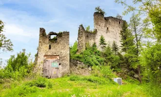 Historische Burgruine mit über 7 Hektar Wald – Einzigartige Liegenschaft mit Potenzial