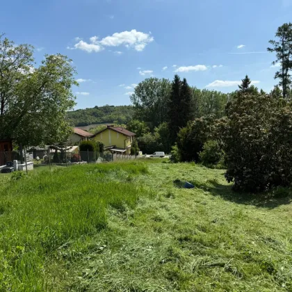 Wunderschönes Grundstück in idyllischer Lage mit leichter Hanglage - Bild 3