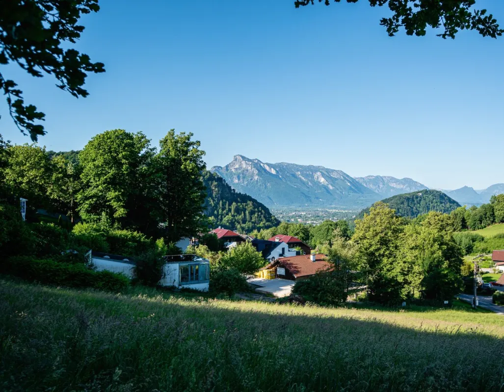 Viva Verde - Wohnen am Heuberg - Bild 1