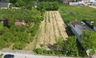 Attrakives Baugrundstück in Krems-Gneixendorf