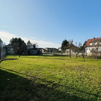 Großes Grundstück mit Potential für 2 Einfamilienhäuser - Bild 2