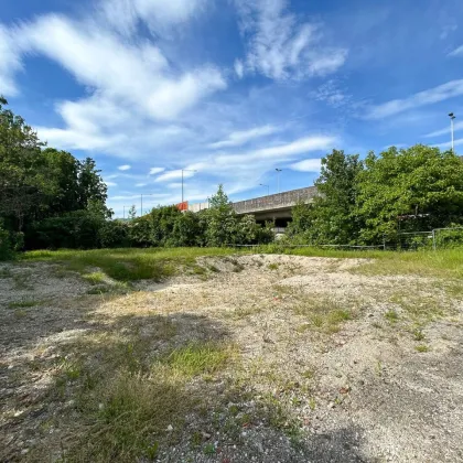 Exklusives Grundstück mit vorliegender Entwurfsplanung in Toplage - Bild 2