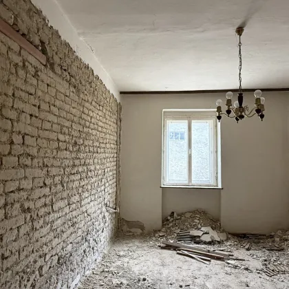 Bereit fürs Comeback! - Bild 2