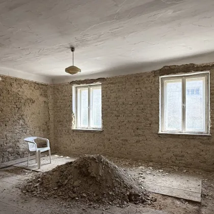 Bereit fürs Comeback! - Bild 3