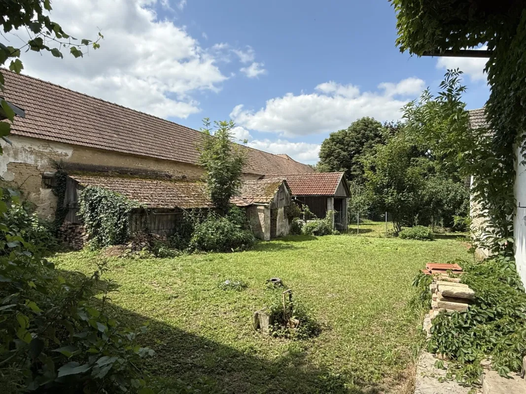 Bereit fürs Comeback! - Bild 1