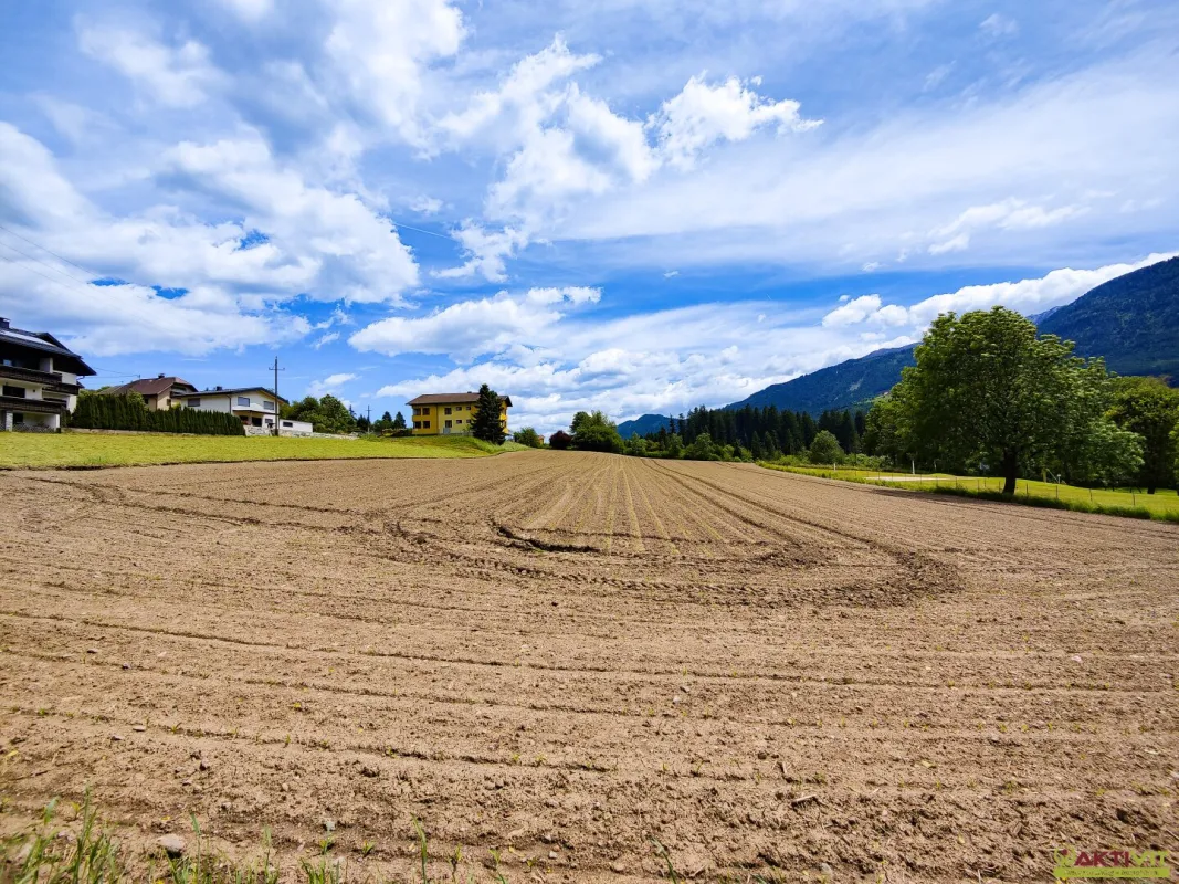 Großes Baugrundstück mit Grünblick in Berg im Drautal. - Zwei Parzellen, teilbar und Doppelhaus möglich. - Bild 1