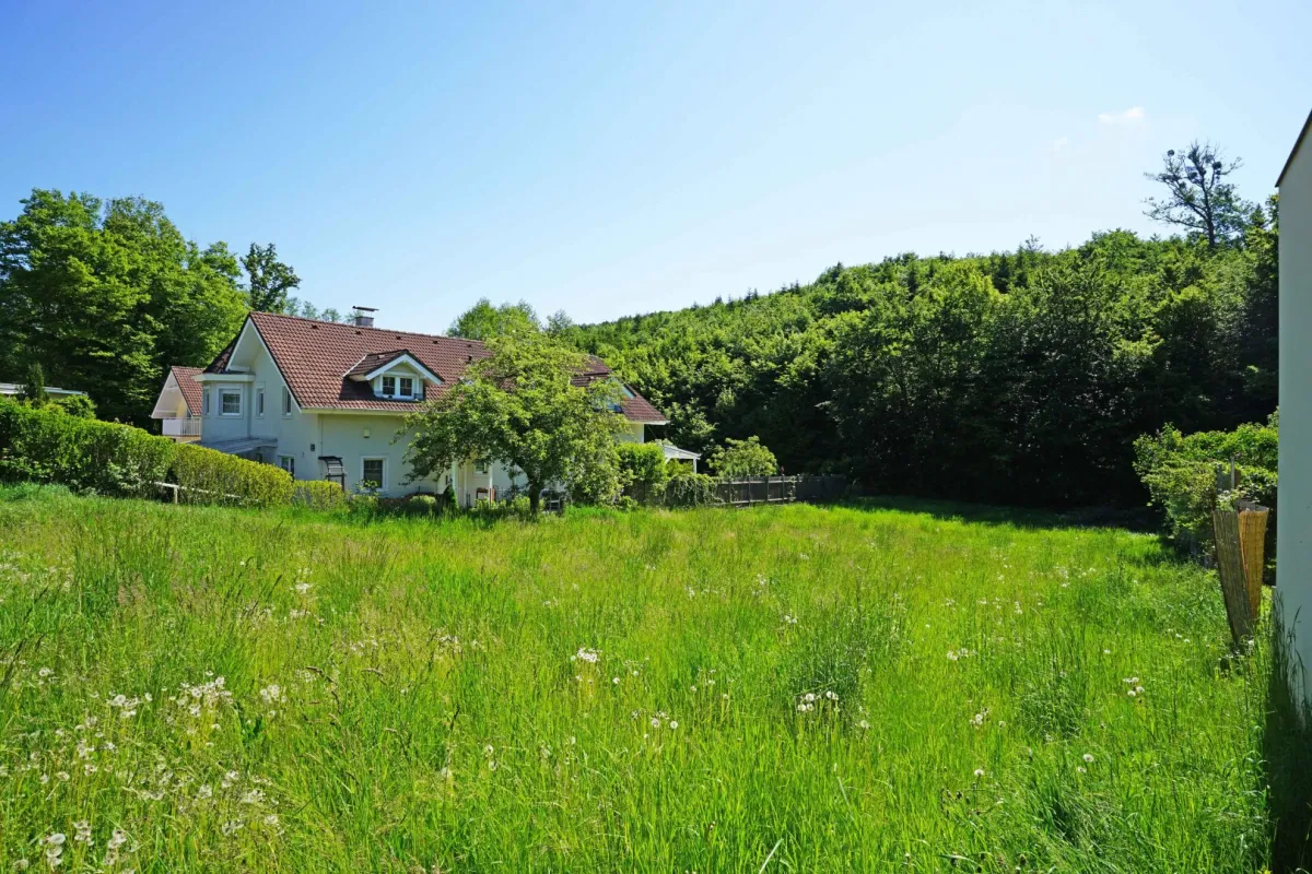 Idyllisches Baugrundstück mit Ganztagssonne am Waldrand – Ruhelage nur 5 km von Wien! - Bild 1