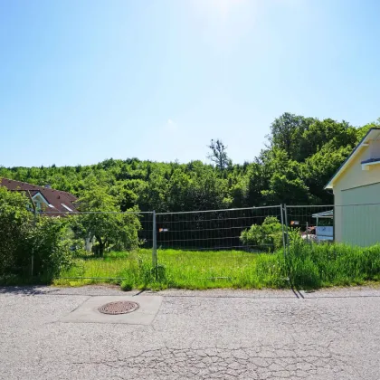 Idyllisches Baugrundstück mit Ganztagssonne am Waldrand – Ruhelage nur 5 km von Wien! - Bild 3