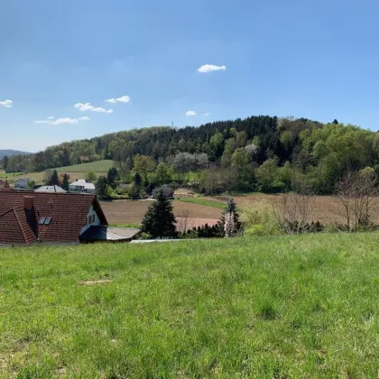 Traumhaftes Baugrundstück mit Naturblick in Stegersbach - Bild 2