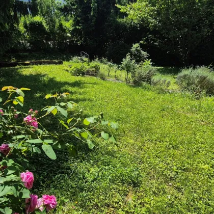 1170 Dornbach -  einmaliges Grundstück  am  Wienerwald - Bild 2