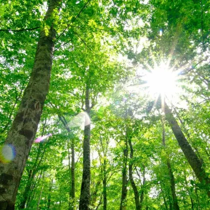 Exklusive Investments mit hoher Rendite. - Über 10% Netto-Rendite p.a.! - Bild 3