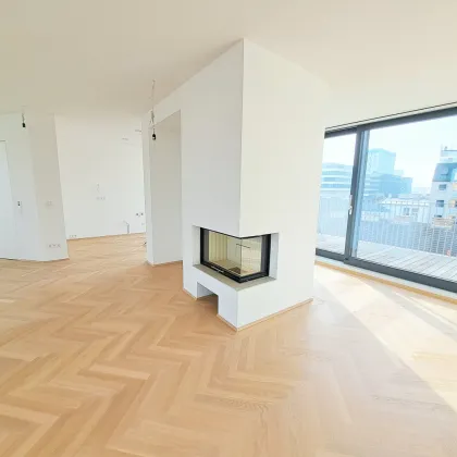Stilvolle Maisonettewohnung mit Kamin und Dachterrassen im 4. Bezirk - Bild 3