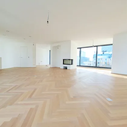 Stilvolle Maisonettewohnung mit Kamin und Dachterrassen im 4. Bezirk - Bild 2