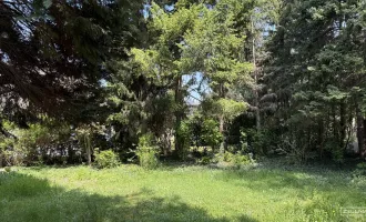 Privates Wohngefühl auf höchstem Niveau – Gartenwohnung mit allem, was das Herz begehrt | ZELLMANN IMMOBILIEN