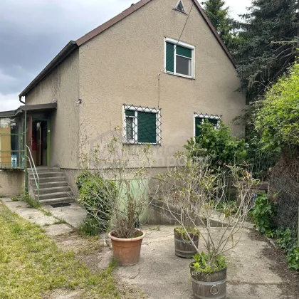 Rarität an der Alten Donau – Sanierungsbedürftiges Ziegelmassivhaus auf Eigengrund mit Potenzial - Bild 2