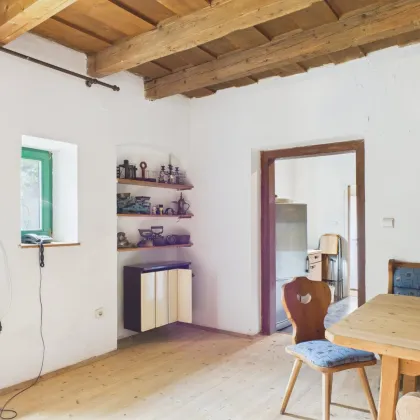 Charmantes Bauernhaus in Katzelsdorf – Gepflegtes Zuhause mit Garten - Bild 2