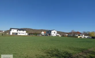 TRAUMLIEGENSCHAFT MIT SEEBLICK