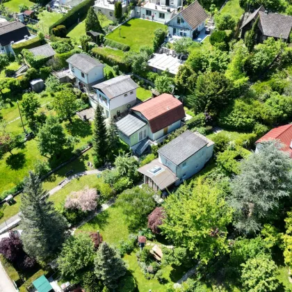 🌿 Grünes "klein aber fein" am Wolfersberg | ZELLMANN IMMOBILIEN - Bild 2