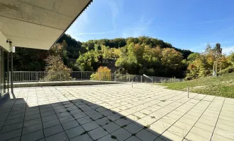 branchenfreies Geschäftslokal am Wiener Stadtrand – perfekt für Ihre Ideen! | ZELLMANN IMMOBILIEN