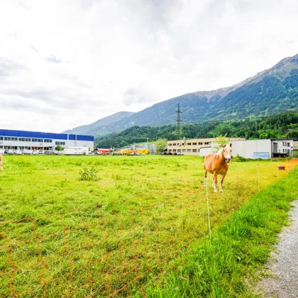 Attraktives Gewerbeobjekt mit vielseitig nutzbarer Wohneinheit – nachhaltige Ausstattung inklusive - Bild 2