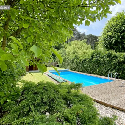Doppelhaushälfte Hinterbrühl/Weissenbach mit Pool großer Terrasse und gemütlichen Garten - Bild 3