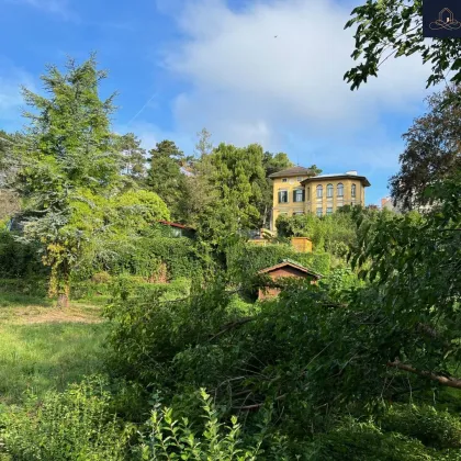 Sonniges Baugrundstück in zentraler Lage - Bild 2