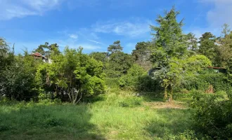 Sonniges Baugrundstück in zentraler Lage