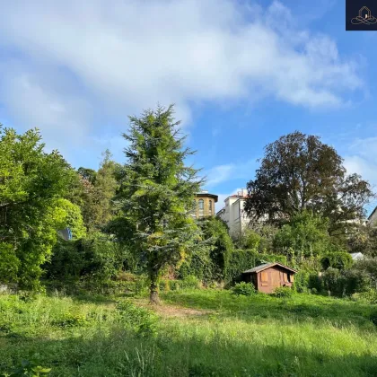 Sonniges Baugrundstück in zentraler Lage - Bild 3