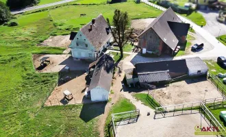 Hof mit Altbestand, Stallungen, Reitplatz und Ausbaureserve. - Charmante Lage nähe Voitsberg