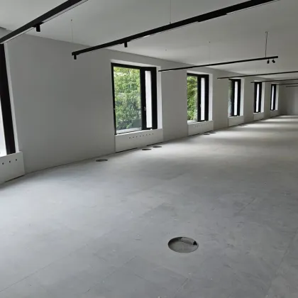 676 m² Bürofläche in bester Lage Mariahilfer Straße / Neubaugasse - ERSTBEZUG - Bild 3