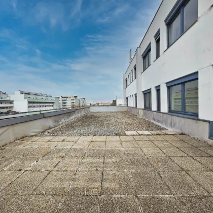 468m² Büro mit 111m² Terrasse zur alleinigen Nutzung | Klima | Parkplätze | Teilflächen möglich bzw. auf bis zu 668m² erweiterbar | optionales EG-Lager mit 47m² - Bild 2