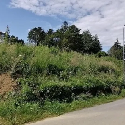 Traumhaftes Baugrundstück für großvolumigen Wohnbau in Sieghartskirchen! - Bild 3