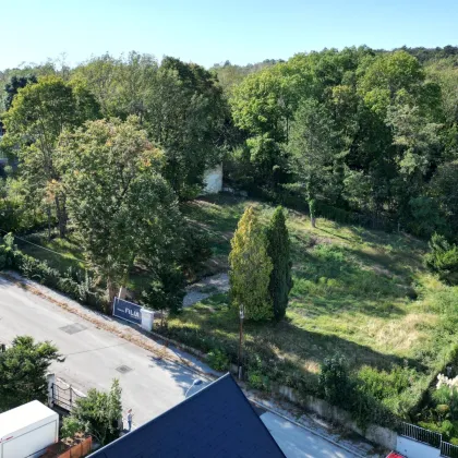Top-Baugrundstück in Mauer mit beeindruckendem Panorama – Natur trifft Stadt! - Bild 3