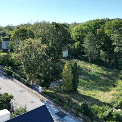 Ihr Traumgrundstück: 798 m² direkt am Maurer Wald! - Bild 2