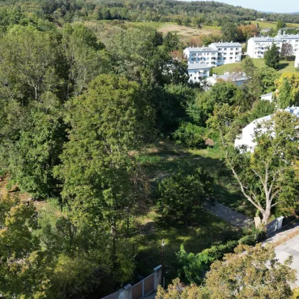 Ihr Traumgrundstück: 798 m² direkt am Maurer Wald! - Bild 3