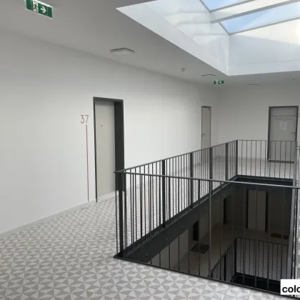 JUWEL IM GRÜNEN - moderne Büroflächen nahe HTL Mödling zu mieten - Erstbezug - Bild 2